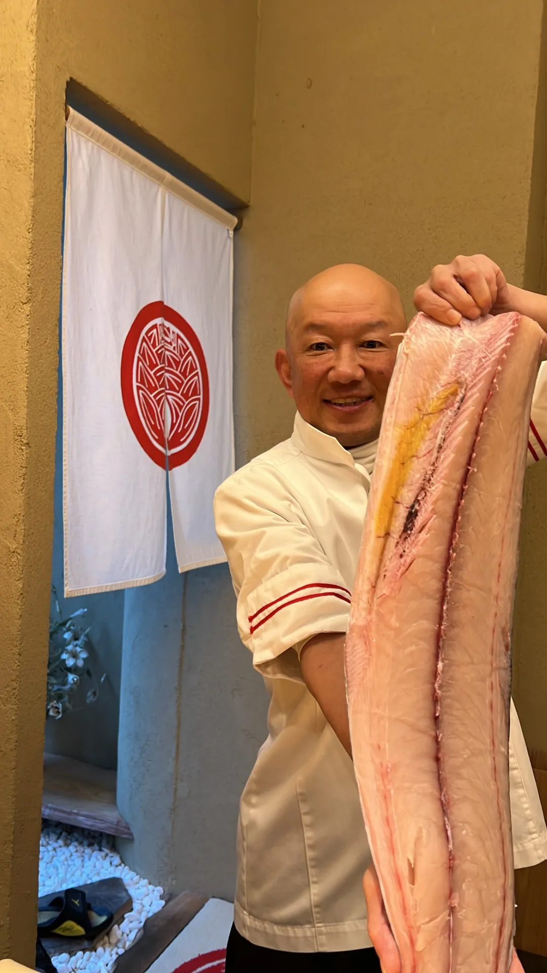 鰆